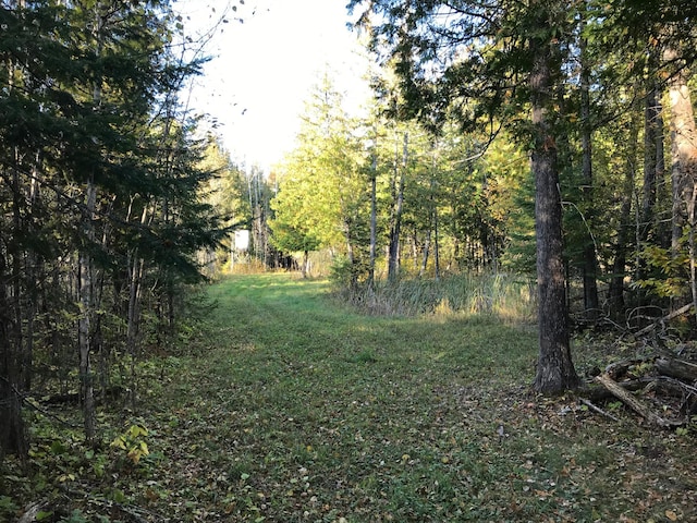 view of landscape