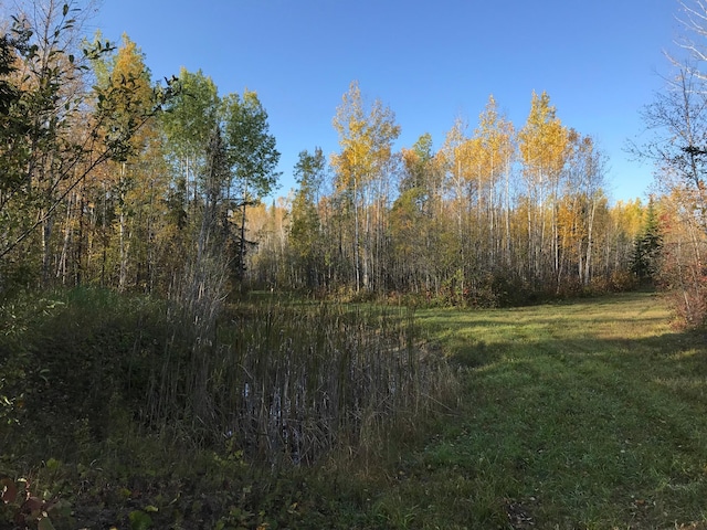 view of local wilderness