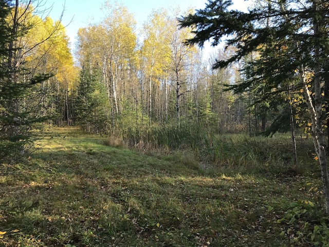 view of landscape