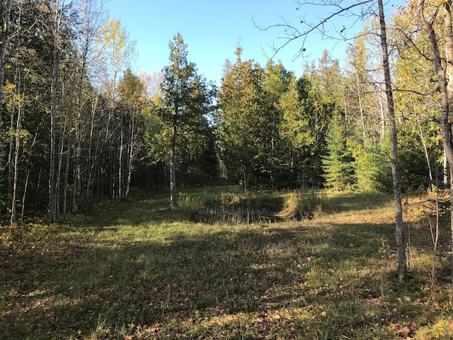 view of local wilderness