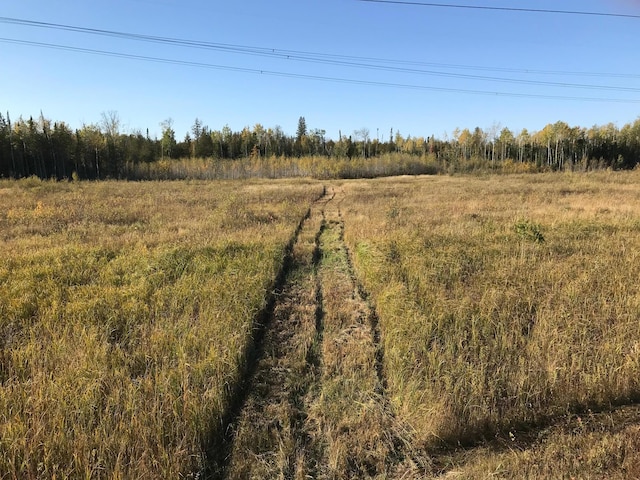 view of yard featuring a rural view