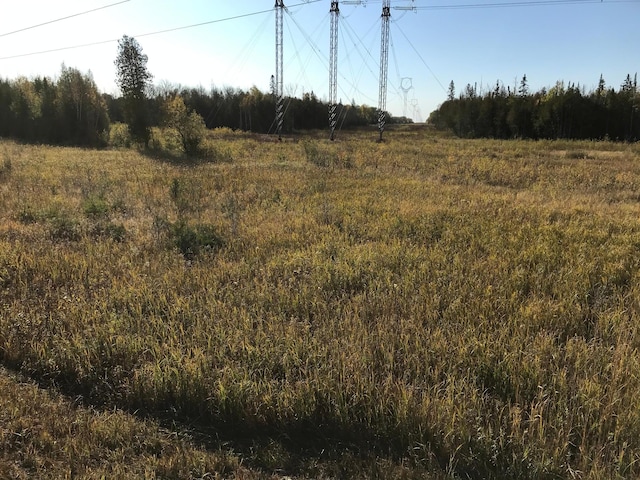 view of local wilderness with a rural view