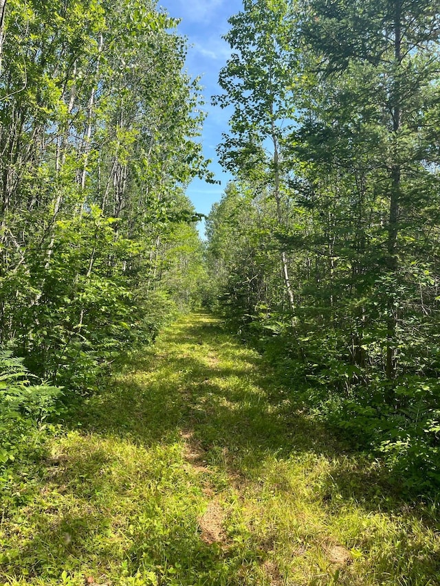 1961 Town Rd Unit 118, Birchdale, MN 56629 - view of undeveloped land
