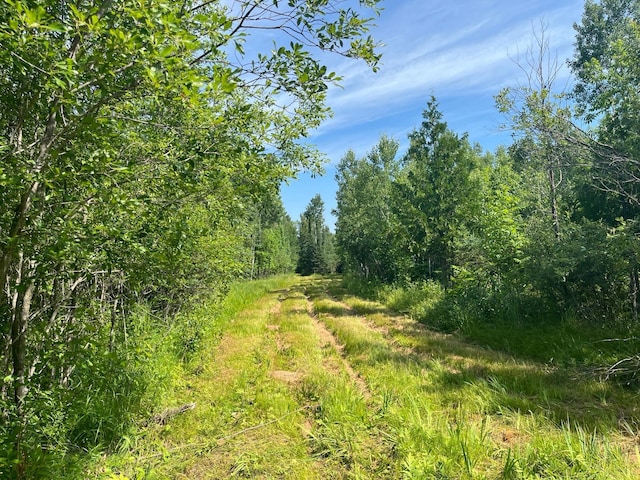 1961 Town Rd Unit 118, Birchdale, MN 56629 - view of woods