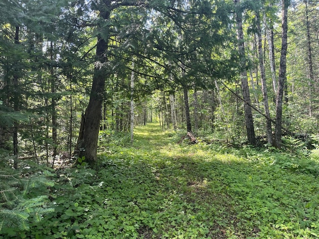 1961 Town Rd Unit 118, Birchdale, MN 56629 - view of woods