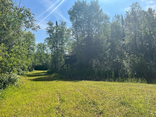 1961 Town Rd Unit 118, Birchdale, MN 56629 - view of yard