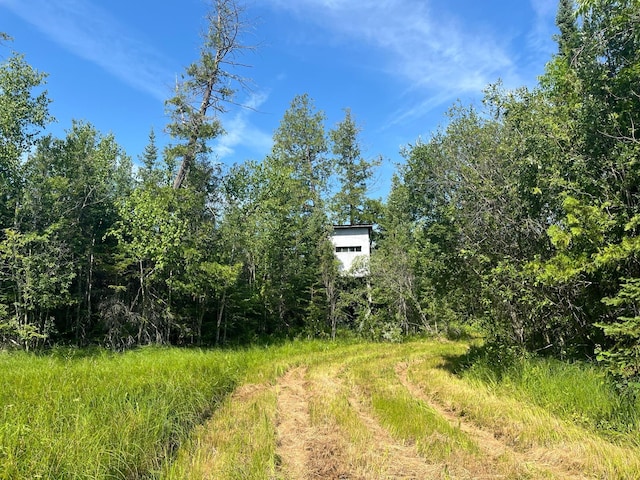 1961 Town Rd Unit 118, Birchdale, MN 56629 - view of undeveloped land