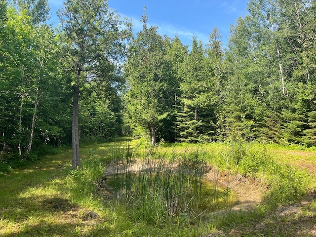 1961 Town Rd Unit 118, Birchdale, MN 56629 - view of woods