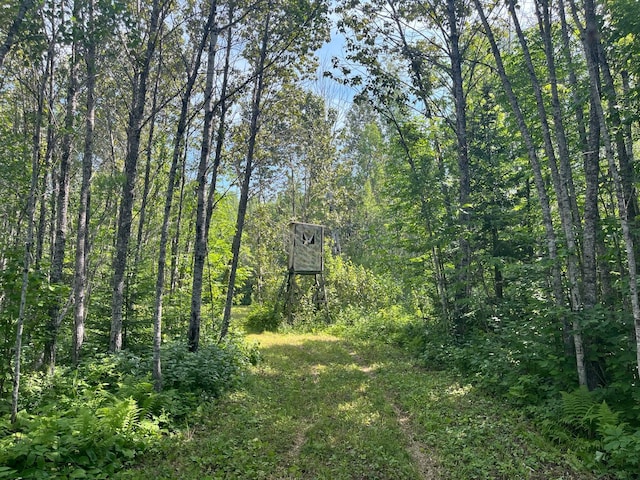 1961 Town Rd Unit 118, Birchdale, MN 56629 - view of tree filled area