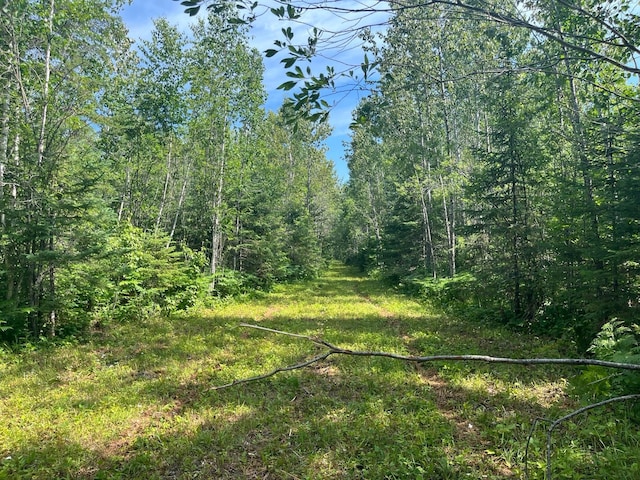 1961 Town Rd Unit 118, Birchdale, MN 56629 - view of woods