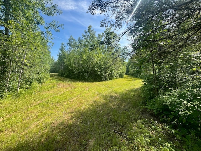 1961 Town Rd Unit 118, Birchdale, MN 56629 - view of yard featuring a view of trees