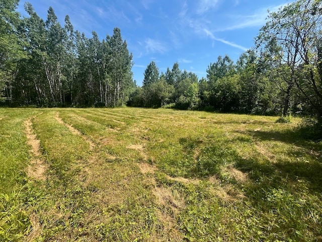 1961 Town Rd Unit 118, Birchdale, MN 56629 - view of woods