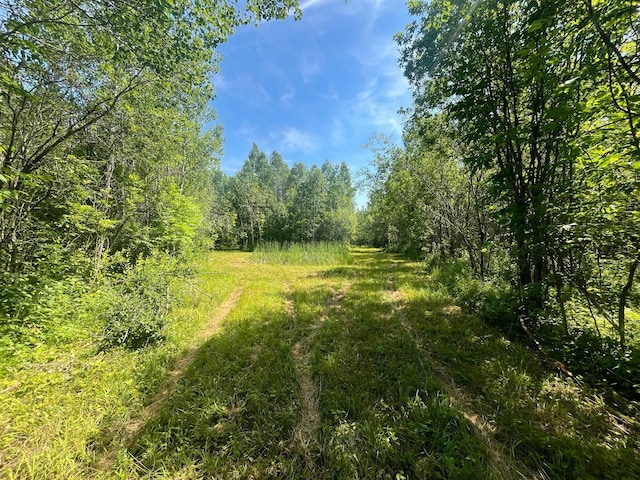 1961 Town Rd Unit 118, Birchdale, MN 56629 - view of tree filled area