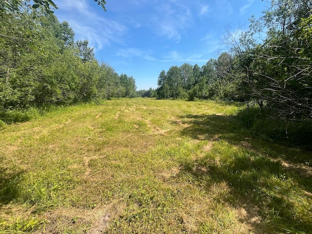 1961 Town Rd Unit 118, Birchdale, MN 56629 - view of yard with a forest view