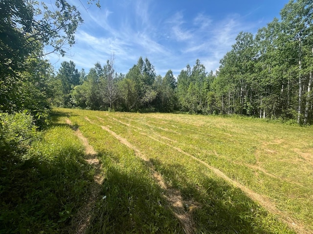 1961 Town Rd Unit 118, Birchdale, MN 56629 - view of yard featuring a wooded view