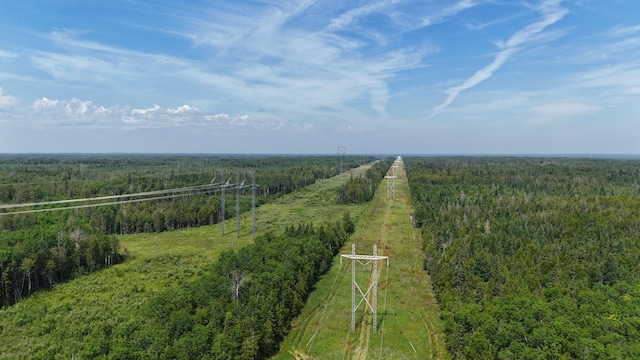 1961 Town Rd Unit 118, Birchdale, MN 56629 - bird's eye view of a heavily wooded area