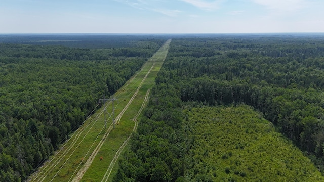 1961 Town Rd Unit 118, Birchdale, MN 56629 - drone / aerial view of a forest