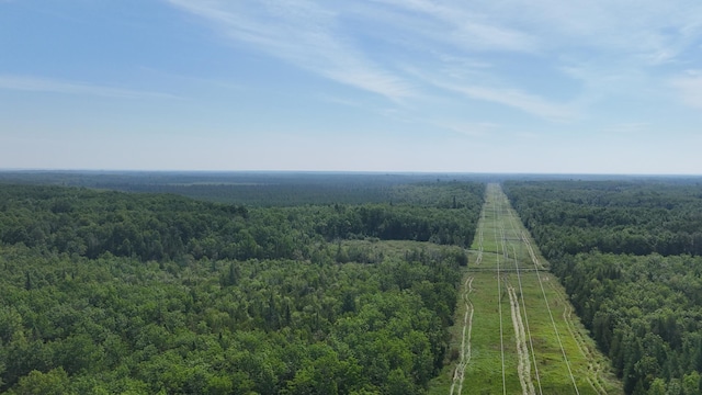 1961 Town Rd Unit 118, Birchdale, MN 56629 - bird's eye view of a forest