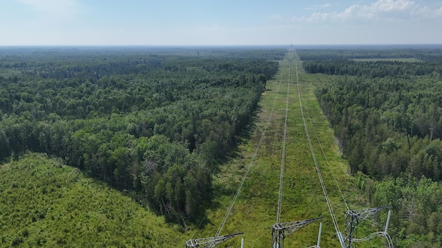 1961 Town Rd Unit 118, Birchdale, MN 56629 - bird's eye view of a heavily wooded area