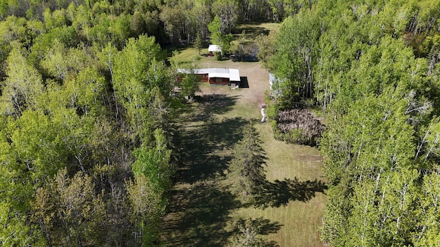 1961 Town Rd Unit 118, Birchdale, MN 56629 - aerial view of property and surrounding area