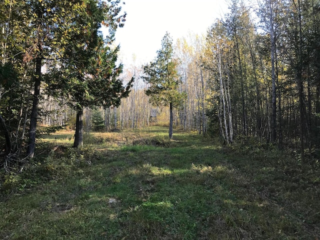 1961 Town Rd Unit 118, Birchdale, MN 56629 - view of woods