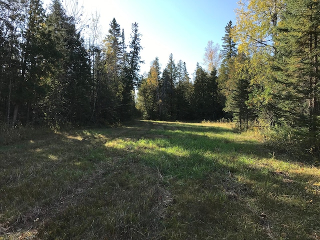 1961 Town Rd Unit 118, Birchdale, MN 56629 - view of tree filled area