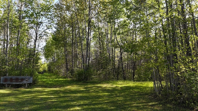 1961 Town Rd Unit 118, Birchdale, MN 56629 - view of grassy yard featuring a view of trees