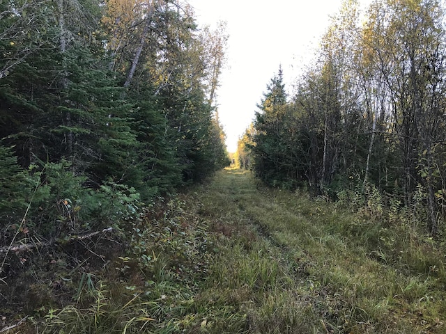 1961 Town Rd Unit 118, Birchdale, MN 56629 - view of nature
