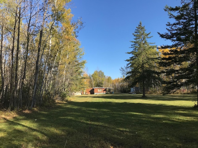 1961 Town Rd Unit 118, Birchdale, MN 56629 - view of grassy yard featuring a forest view