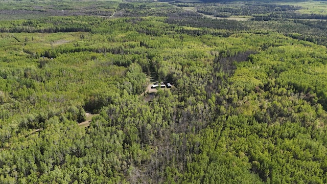 1961 Town Rd Unit 118, Birchdale, MN 56629 - view of property location with a heavily wooded area