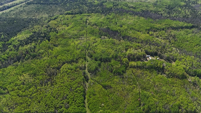 1961 Town Rd Unit 118, Birchdale, MN 56629 - aerial view of property's location featuring a forest