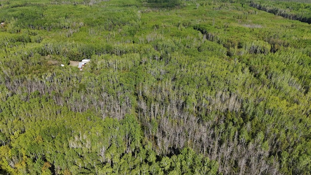 1961 Town Rd Unit 118, Birchdale, MN 56629 - aerial view of property's location with a heavily wooded area
