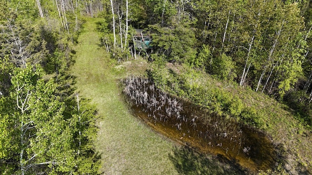 1961 Town Rd Unit 118, Birchdale, MN 56629 - bird's eye view
