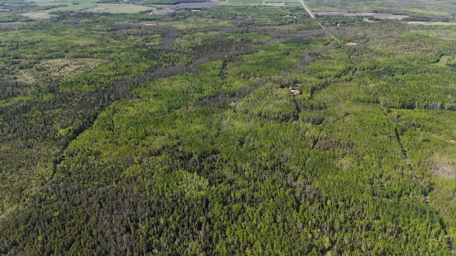 1961 Town Rd Unit 118, Birchdale, MN 56629 - view of property location with a heavily wooded area