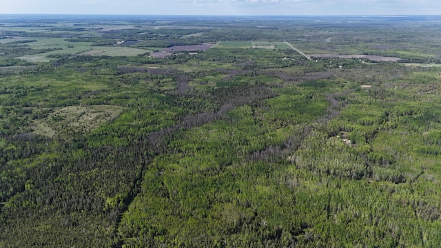 1961 Town Rd Unit 118, Birchdale, MN 56629 - aerial view of property and surrounding area with a forest