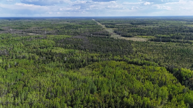 1961 Town Rd Unit 118, Birchdale, MN 56629 - drone / aerial view of a heavily wooded area