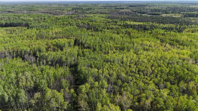 1961 Town Rd Unit 118, Birchdale, MN 56629 - view of property location with a forest