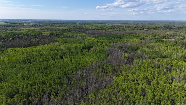 1961 Town Rd Unit 118, Birchdale, MN 56629 - bird's eye view of a forest