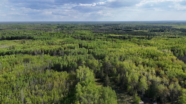 1961 Town Rd Unit 118, Birchdale, MN 56629 - view of property location with a forest