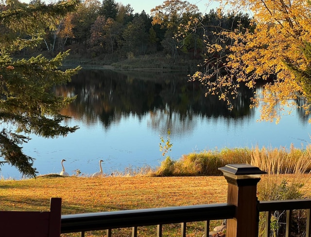 view of water feature