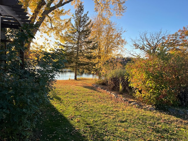 view of yard with a water view