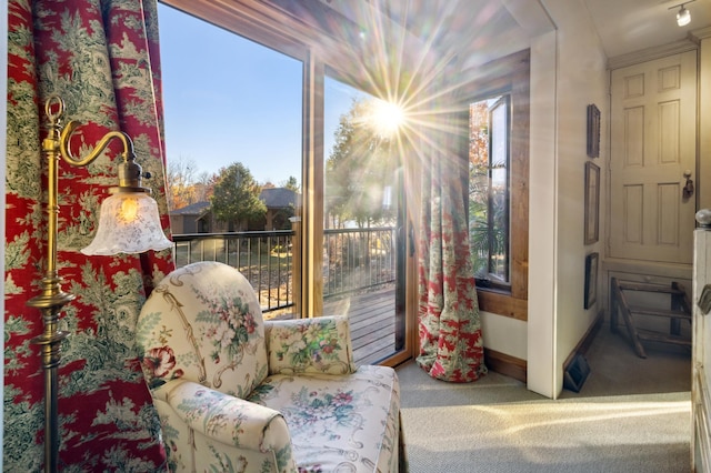 living area featuring carpet