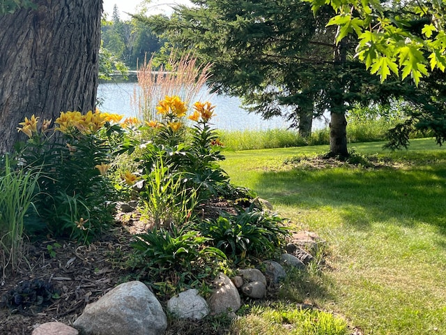 view of yard featuring a water view