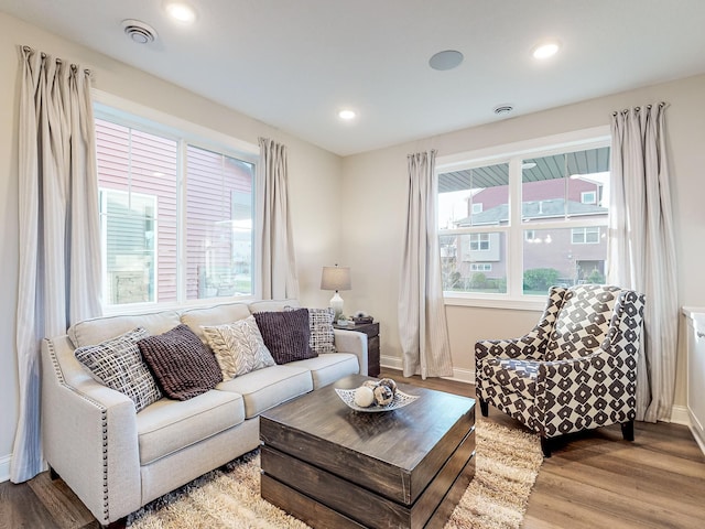 living room with hardwood / wood-style flooring