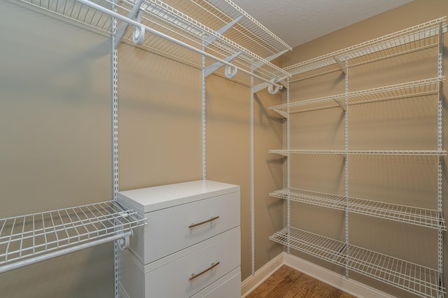 spacious closet featuring wood finished floors