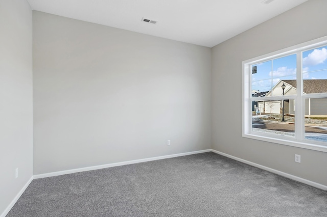 carpeted spare room with a wealth of natural light