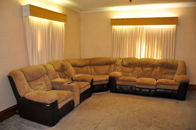 410 5th St, Montevideo, MN 56265 - living area with ornamental molding and carpet flooring