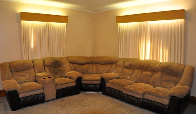 410 5th St, Montevideo, MN 56265 - view of carpeted living room