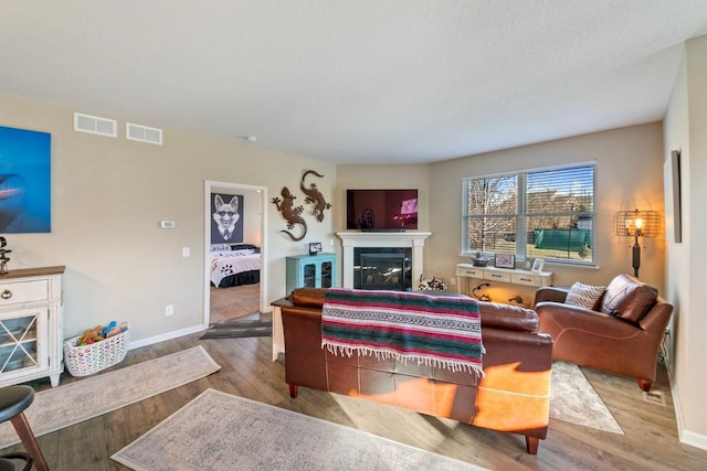 living room featuring hardwood / wood-style floors