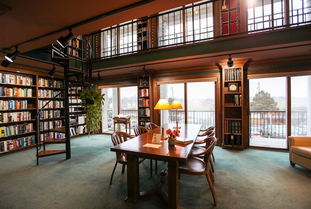 carpeted dining area with plenty of natural light